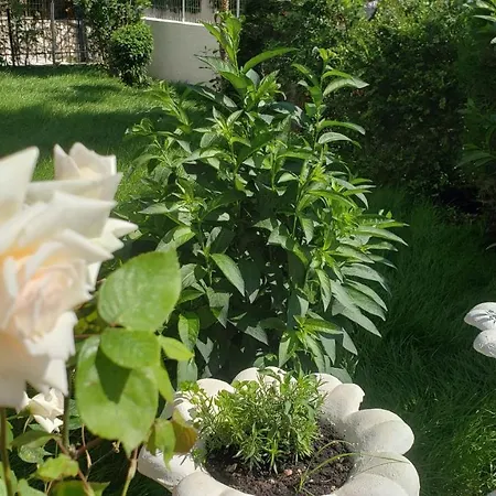 Διαμέρισμα Renato Εξαμίλιο