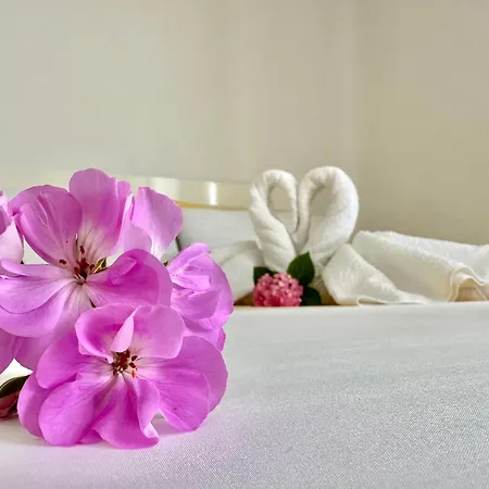 Renato Εξαμίλιο