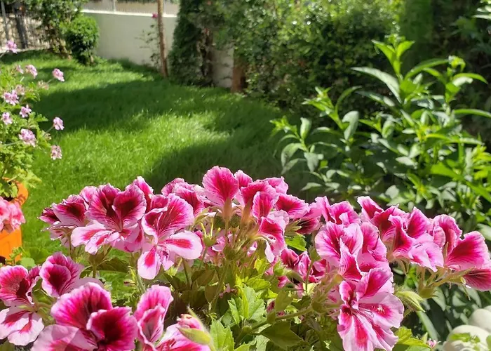 Appartement Renato Ksamil