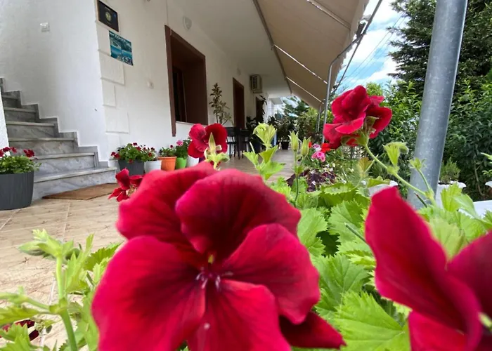 Renato Appartement