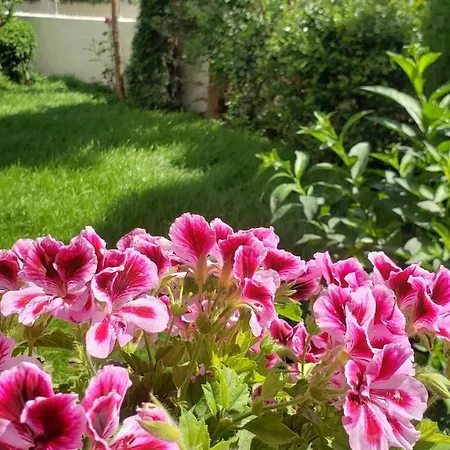 Appartement Renato Ksamil