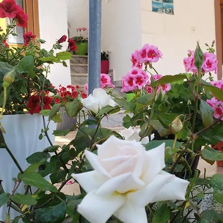 Renato Appartamento *