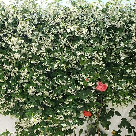 Appartamento Renato *